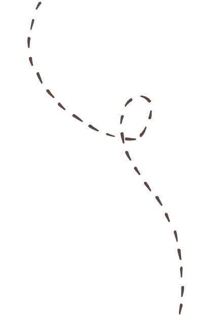 A loopy, dotted line leading to the next section