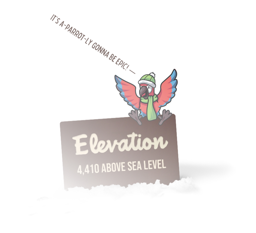 A bird sitting on a snowy sign reading: Elevation 4k above sea level