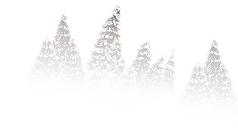 A group of snowy trees